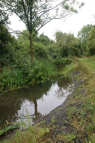 Railway Line Ponds |Rectory Farm